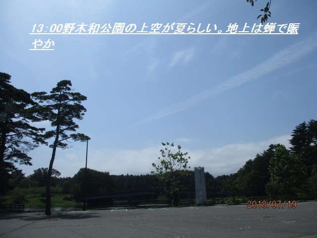 アップロードファイル 4178-1.jpg