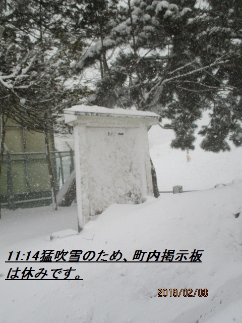 アップロードファイル 4384-1.jpg