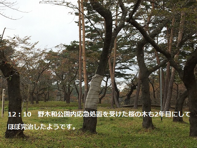 アップロードファイル 5010-2.jpg