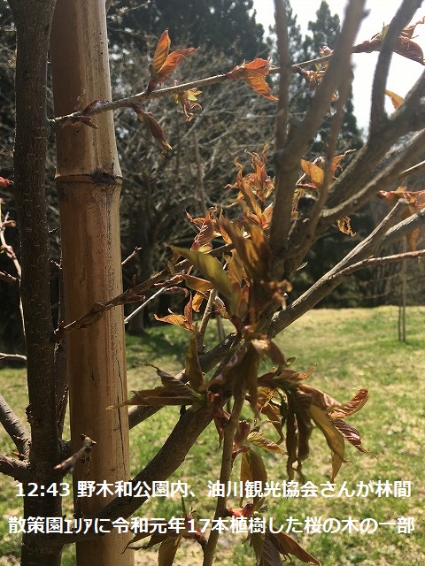 アップロードファイル 5191-2.jpg